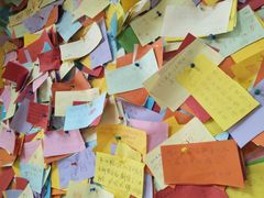 -志龙皇冠吃货椰子铺