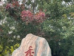 -香山公园