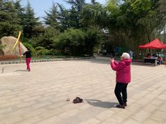 -西苑公园
