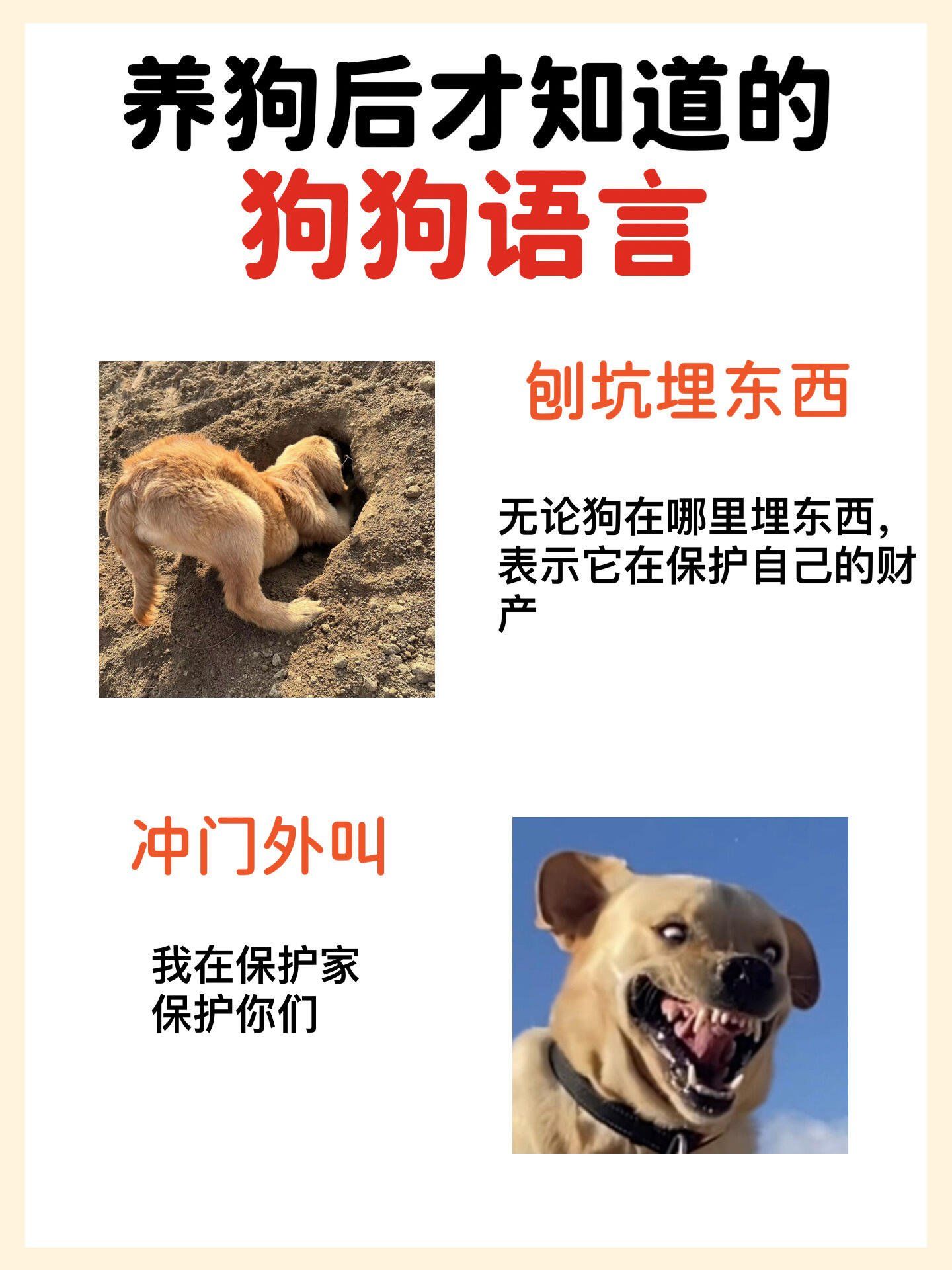 养狗后必懂的狗狗语言你 get 到了吗?