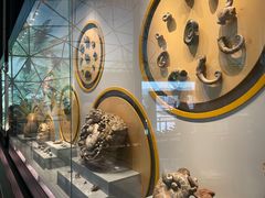 -湖南省地质博物馆