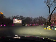 -枫花园汽车电影院(朝阳公园店)