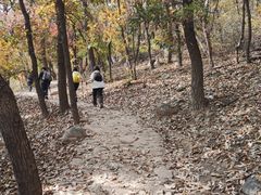 -北京鹫峰国家森林公园