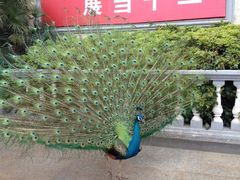 iphone_upload_pic-西昌邛海宾馆