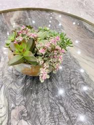 -MMbyHair Code芭曲发型