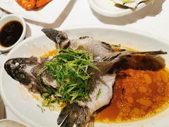 -强记海鲜·大排档(蛇口新街店)