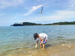 -海驴岛(荣成市)