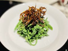 油鸡枞拌瓜尖-泓0871臻选云南菜·味庄