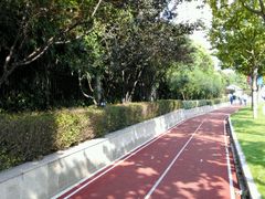 -苏州河梦清园环保主题公园