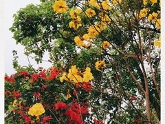 -云溪植物园