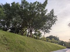 -星巴克(广州萝岗敏捷店)