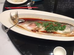 -新雅粤菜馆(南京东路店)