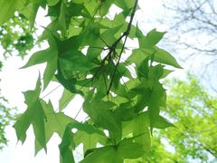 -西安创业咖啡街区