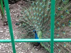 -藏龙百瀑风景区