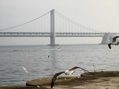 -星海广场