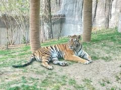 -北京野生动物园