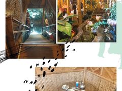 -多哥水傣味餐厅(司马巷店)