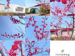 -上海宝龙美术馆