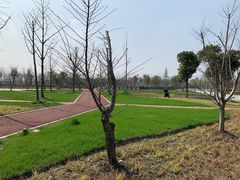 -上海山野camping·户外天幕烧烤·团建拓展营地