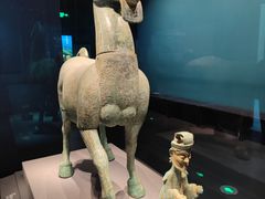 -广西壮族自治区博物馆