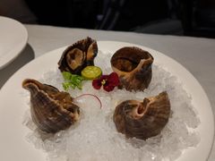 冰镇小红螺-黑明餐厅(白鹭洲店)