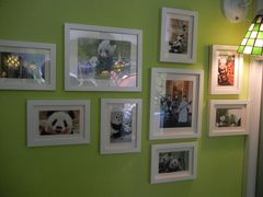 -六时安·熊猫张甜品店(东关街店)