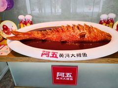 -阿五黄河大鲤鱼(英协路店)