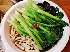 -新白鹿餐厅(百联中环店)