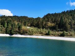 -武陵山森林公园