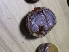 -小宝栗子(嘉华国际商业中心店)