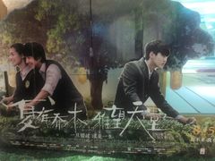 -纵横国际影城杜比全景声巨幕(天安云谷店)