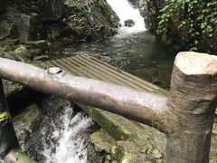 -宁波五龙潭景区