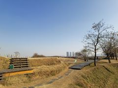 -盘龙城国家考古遗址公园