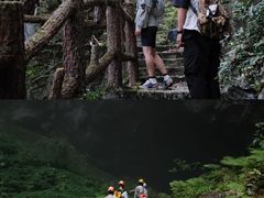 -百色大石围天坑群