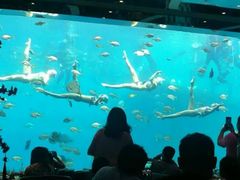 -瑞德姆美人鱼海底演艺主题餐厅(亚龙湾店)