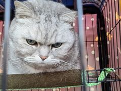-艺味深尝(云锦路店)