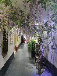 -盘子女人坊生日照·摄影馆(华强店)