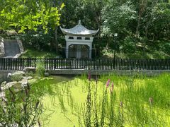 -白水寺森林公园