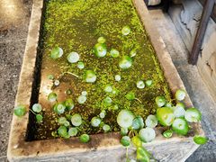 -印象徽州·正宗徽菜体验店