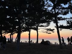 -威海国际海水浴场旅游区