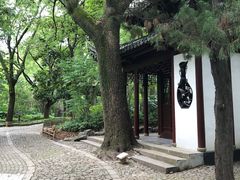 -汇龙潭