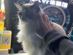 -零纪元VR体验馆·桌游(黄浦店)