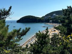 -林之六八·6886大连老菜馆