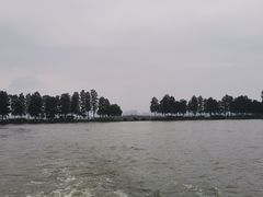 -东湖落雁景区