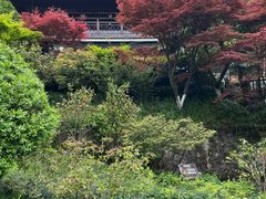 -十八棵（老龙井）御茶园(老龙井店)