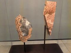 -扎耶德国家博物馆