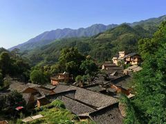 -杨家堂村