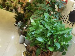 -金色年华养生会所(涵江店)