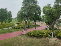 -春花秋色城市公园