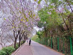 -南丰汇(新港东路店)